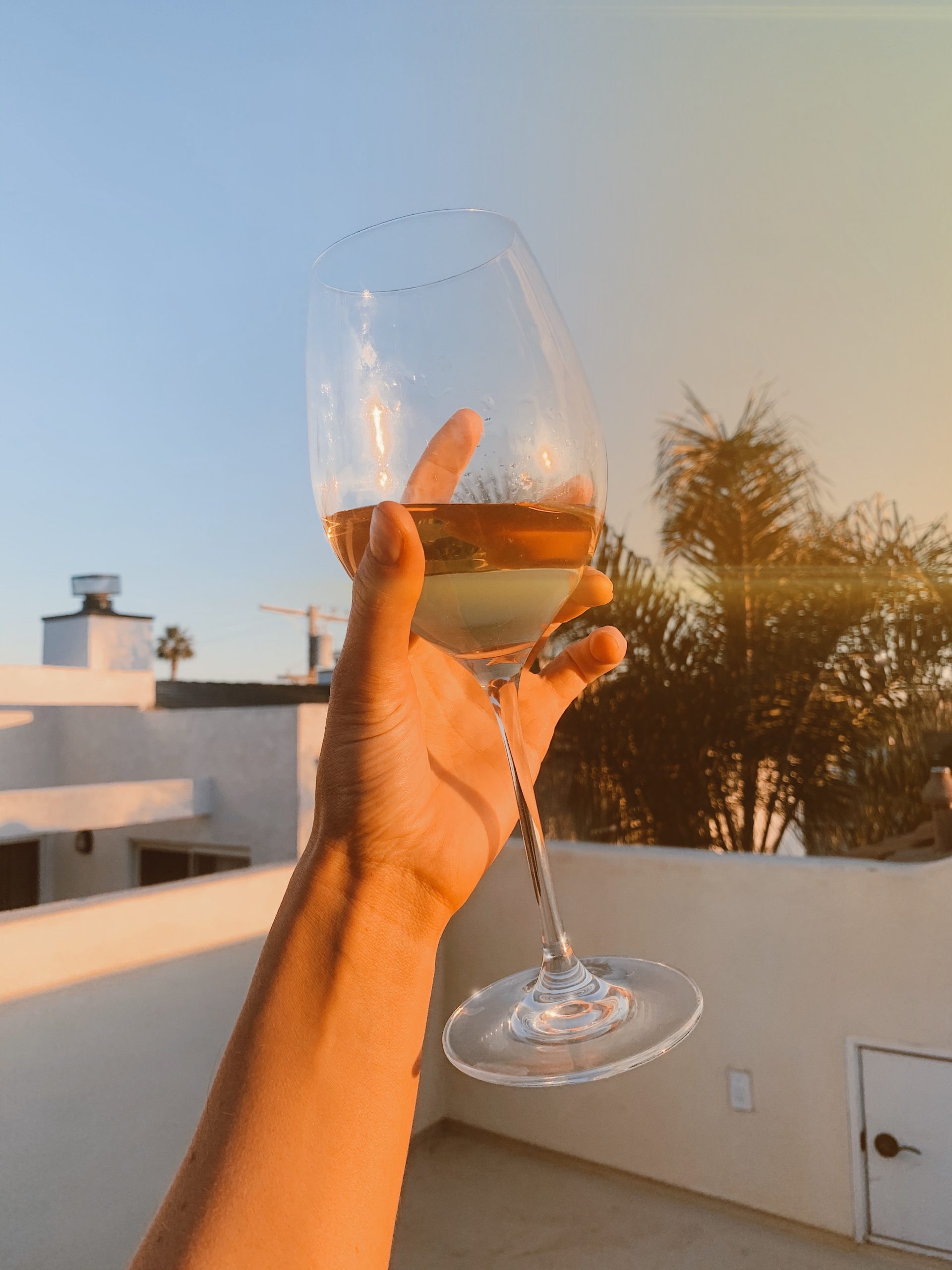 Clean Wines We Love 2021 | The Hive